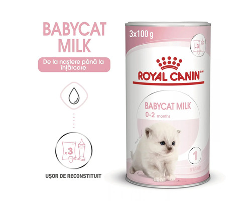 Royal Canin Logo, lapte praf Babycat Milk pentru pui de pisică de la zero la două luni, cutie cu trei plicuri de o sută de grame, accesorii.