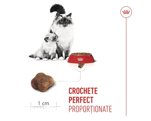 Pisică și pui de pisică lângă un bol cu hrană uscată, bobiță în formă de stea cu dimensiunea de 1 centimetru. Royal Canin Logo.
