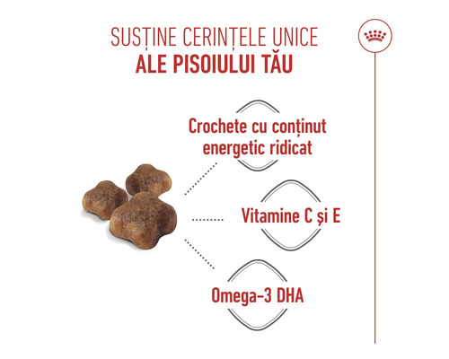 Infografic hrană pentru pui de pisică cu informații despre conținut energetic ridicat, vitaminele C și E și Omega-3 DHA. Royal Canin Logo.