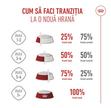 Infografic despre tranziția alimentară în șapte zile cu creșterea treptată a hranei noi de la 25 la 100 la sută. Royal Canin Logo.