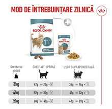 Ghid de hrănire Royal Canin pentru pisici peste 11 ani cu porții zilnice în grame pentru hrană uscată și umedă în funcție de greutatea corporală.