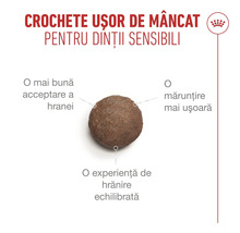 Royal Canin Logo. Crochetă pentru câini cu dinți sensibili, ușor de mestecat, pentru o acceptare mai bună și o hrănire echilibrată.