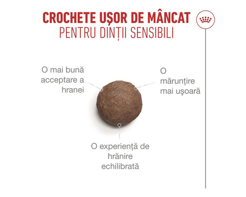 Royal Canin Logo. Crochetă pentru câini cu dinți sensibili, ușor de mestecat, pentru o acceptare mai bună și o hrănire echilibrată.