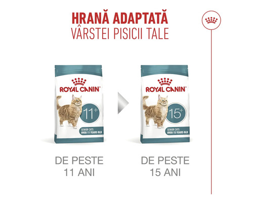 Royal Canin Logo. Hrană adaptată vârstei pentru pisici senioare de peste 11 și 15 ani.