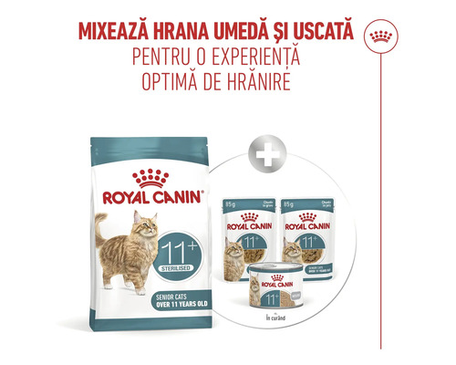 Royal Canin Logo. Hrană uscată Royal Canin 11 plus Sterilised pentru pisici senioare peste 11 ani în combinație cu hrană umedă la plic și conservă.