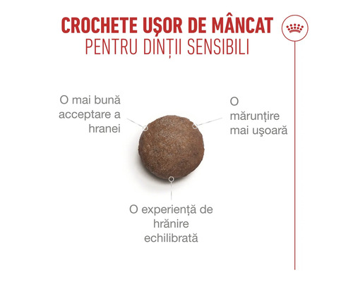 Royal Canin Logo, crochetă pentru dinți sensibili, cu mărunțire ușoară, acceptare mai bună și hrănire echilibrată.