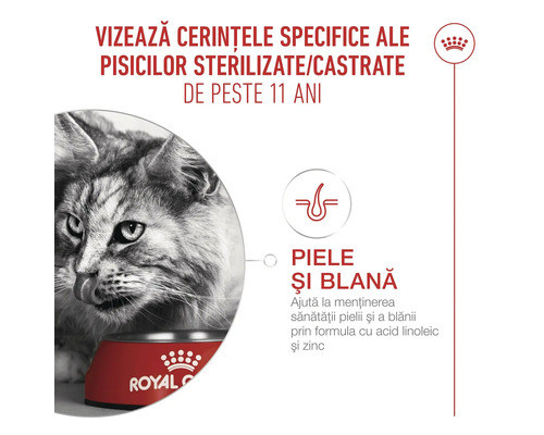 Hrană Royal Canin pentru pisici sterilizate de peste 11 ani, susține pielea și blana cu acid linoleic și zinc. Royal Canin Logo.