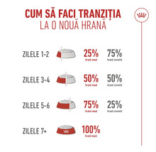 Infografic pentru tranziția la o nouă hrană pe parcursul a șapte zile cu logo-ul Royal Canin. Arată creșterea treptată a noii hrane în procente.