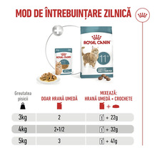 Ghid de hrănire Royal Canin pentru pisici senior peste 11 ani. Tabel pentru hrană umedă și uscată în funcție de greutatea în kilograme.