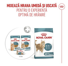 Royal Canin amestec de hrană umedă și uscată pentru pisici senioare de peste 11 ani, cu plicuri, conservă și sac de hrană.