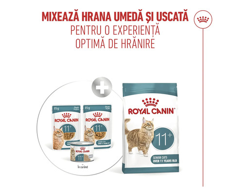 Royal Canin amestec de hrană umedă și uscată pentru pisici senioare de peste 11 ani, cu plicuri, conservă și sac de hrană.