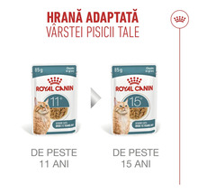 Două plicuri de hrană Royal Canin pentru pisici senioare de peste 11 și 15 ani, bucățele în sos, 85 grame, Royal Canin Logo.