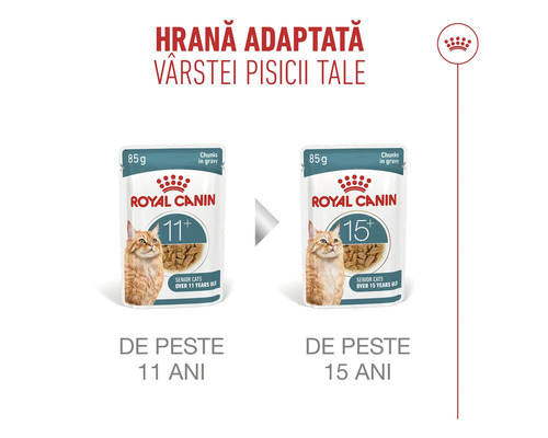 Două plicuri de hrană Royal Canin pentru pisici senioare de peste 11 și 15 ani, bucățele în sos, 85 grame, Royal Canin Logo.
