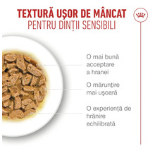Royal Canin Logo. Hrană umedă pentru pisici cu bucățele mici în sos, textură ușor de mestecat pentru dinți sensibili.