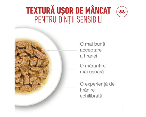 Royal Canin Logo. Hrană umedă pentru pisici cu bucățele mici în sos, textură ușor de mestecat pentru dinți sensibili.