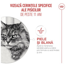 Infografic pentru hrană de pisici peste 11 ani care susține sănătatea pielii și a blănii cu Royal Canin Logo.