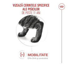 Hrană pentru pisici de peste 11 ani care susține mobilitatea cu acizi grași și condroitină. Royal Canin Logo.