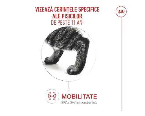 Hrană pentru pisici de peste 11 ani care susține mobilitatea cu acizi grași și condroitină. Royal Canin Logo.