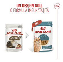 Comparare ambalaj Royal Canin hrană pisici senioare, design vechi peste 12 ani și design nou peste 11 ani în sos, Royal Canin Logo.