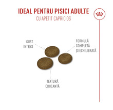 Trei bucăți de hrană uscată pentru pisici adulte cu apetit capricios cu detalii despre gust, textură și formula echilibrată, Royal Canin Logo.