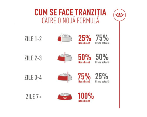 Infografic care explică tranziția treptată la noua hrană pe parcursul a șapte zile, cu logo-ul Royal Canin.