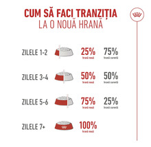 Infografic despre tranziția la o hrană nouă pentru animale în 7 zile de la 25 la sută la 100 la sută hrană nouă cu Royal Canin Logo.