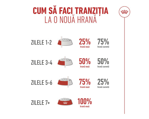 Infografic despre tranziția la o hrană nouă pentru animale în 7 zile de la 25 la sută la 100 la sută hrană nouă cu Royal Canin Logo.