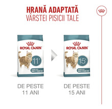 Două pachete de hrană pentru pisici Royal Canin pentru pisici senioare de peste 11 ani și de peste 15 ani.