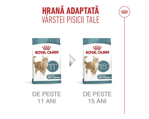 Două pachete de hrană pentru pisici Royal Canin pentru pisici senioare de peste 11 ani și de peste 15 ani.