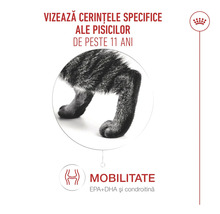 Infografic pentru hrana de pisici care prezintă articulațiile unei pisici și mobilitatea pentru pisici de peste 11 ani. Royal Canin Logo.