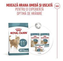 Royal Canin Logo. Hrană pentru pisici de peste 11 ani. Combinație de hrană uscată și hrană umedă sub formă de mousse și bucățele.