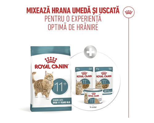 Royal Canin Logo. Hrană pentru pisici de peste 11 ani. Combinație de hrană uscată și hrană umedă sub formă de mousse și bucățele.