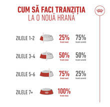 Infografic pentru tranziția la o hrană nouă pe parcursul a 7 zile cu proporții de amestec și Royal Canin Logo.