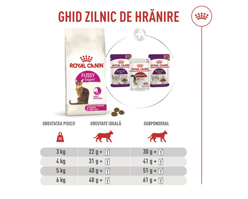 Ghid de hrănire Royal Canin pentru pisici cu porții de hrană uscată Fussy Exigent și pliculețe de hrană umedă în funcție de greutate.