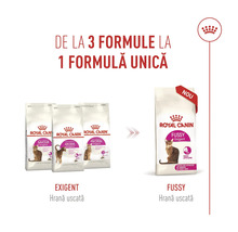 Trecerea de la trei variante de hrană uscată Royal Canin Exigent la o singură rețetă nouă pentru pisici pretențioase. Royal Canin Logo.