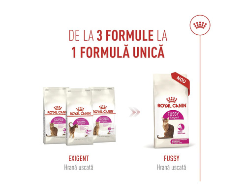 Trecerea de la trei variante de hrană uscată Royal Canin Exigent la o singură rețetă nouă pentru pisici pretențioase. Royal Canin Logo.