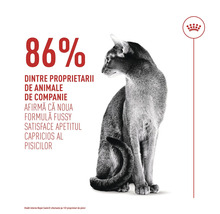 Pisică așezată, Royal Canin Logo. 86 la sută dintre proprietari afirmă că hrana pentru pisici Fussy satisface apetitul capricios al pisicilor.