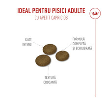 Boabe de hrană pentru pisici adulte cu apetit capricios, gust intens, formulă completă și echilibrată, textură crocantă. Royal Canin Logo.