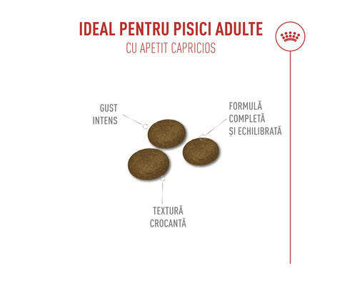 Boabe de hrană pentru pisici adulte cu apetit capricios, gust intens, formulă completă și echilibrată, textură crocantă. Royal Canin Logo.