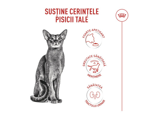 Infografic pentru hrana de pisici Royal Canin cu o pisică și simboluri pentru apetit ridicat, greutate sănătoasă și sănătatea tractului urinar. Royal Canin Logo.