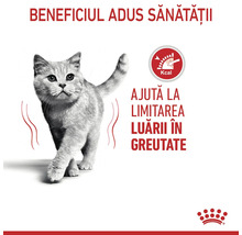 Pisică lângă simbol pentru controlul caloriilor cu text despre limitarea luării în greutate și Royal Canin Logo.