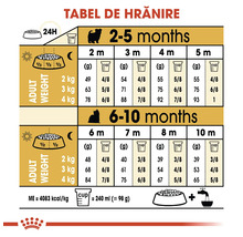 Tabel de hrănire pentru căței de la 2 la 10 luni, în funcție de greutatea adultă de 2 până la 4 kilograme, cu grame și pahare. Royal Canin Logo.