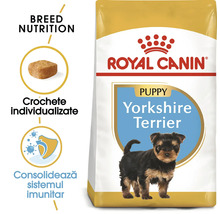 Hrană uscată Royal Canin pentru căței Yorkshire Terrier, crochete individualizate pentru consolidarea sistemului imunitar.