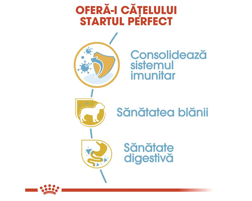 Startul perfect pentru căței: consolidarea sistemului imunitar, sănătatea blănii și sănătate digestivă. Royal Canin Logo.