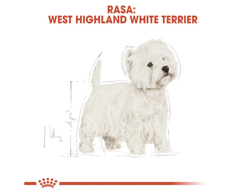 Ilustrație a rasei de câine West Highland White Terrier cu Royal Canin Logo.