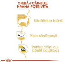 Piele sănătoasă, blană strălucitoare și apetit ridicat pentru câini mofturoși. Royal Canin Logo.