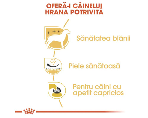 Piele sănătoasă, blană strălucitoare și apetit ridicat pentru câini mofturoși. Royal Canin Logo.