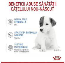 Beneficii pentru sănătatea cățelușilor nou-născuți prin dezvoltare cerebrală, sistem imunitar și susținerea microbiomului. Logo Royal Canin.
