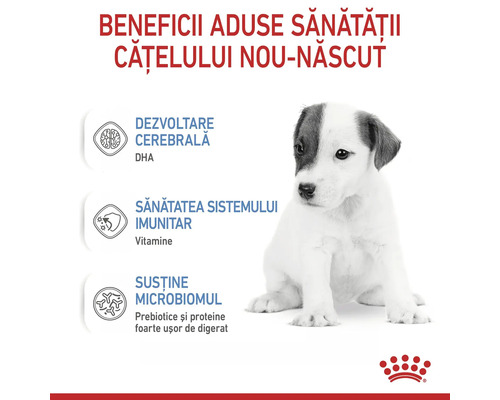 Beneficii pentru sănătatea cățelușilor nou-născuți prin dezvoltare cerebrală, sistem imunitar și susținerea microbiomului. Logo Royal Canin.