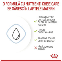 Logo Royal Canin. Infografic: nutrienți din laptele matern, lactoză similară, fructo-oligozaharide, proteine ușor de digerat, fără adaos de amidon.